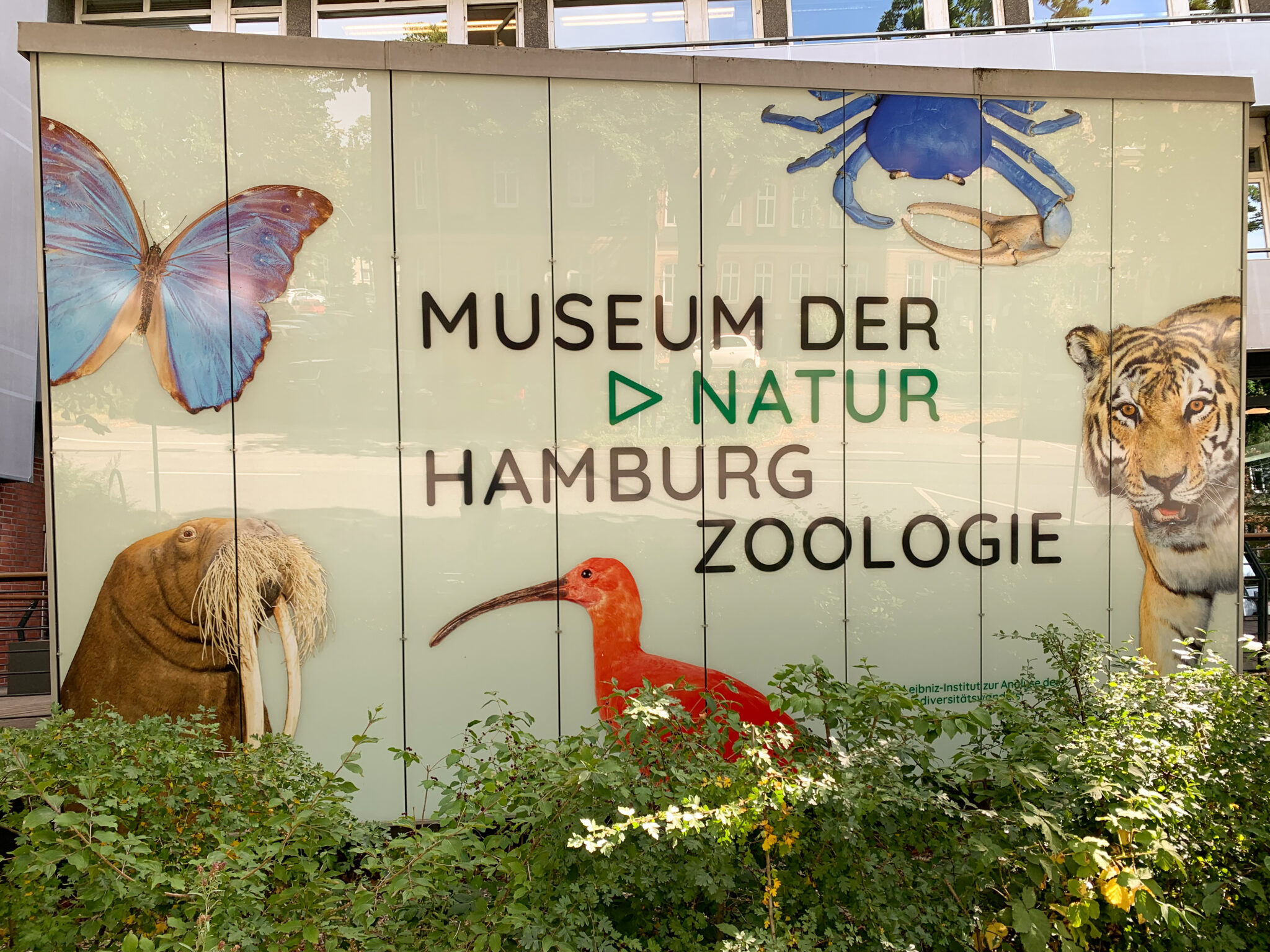 Hamburg bei Regen mit Kindern 16 coole Indoor Aktivitäten